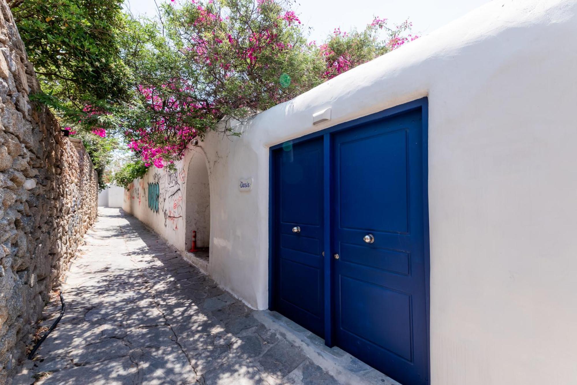 Olive Tree & Capari Mykonos Town Homes & Apartments With Pool! Exteriör bild